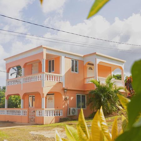 Hotel Happy Nest Dominica à Marigot Extérieur photo