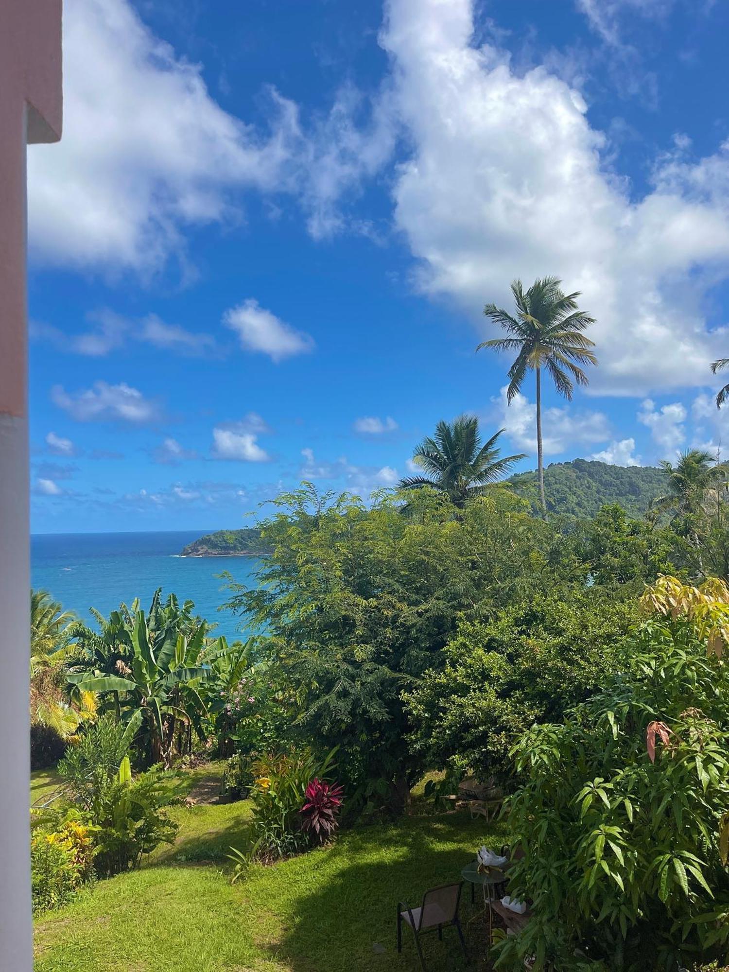Hotel Happy Nest Dominica à Marigot Extérieur photo