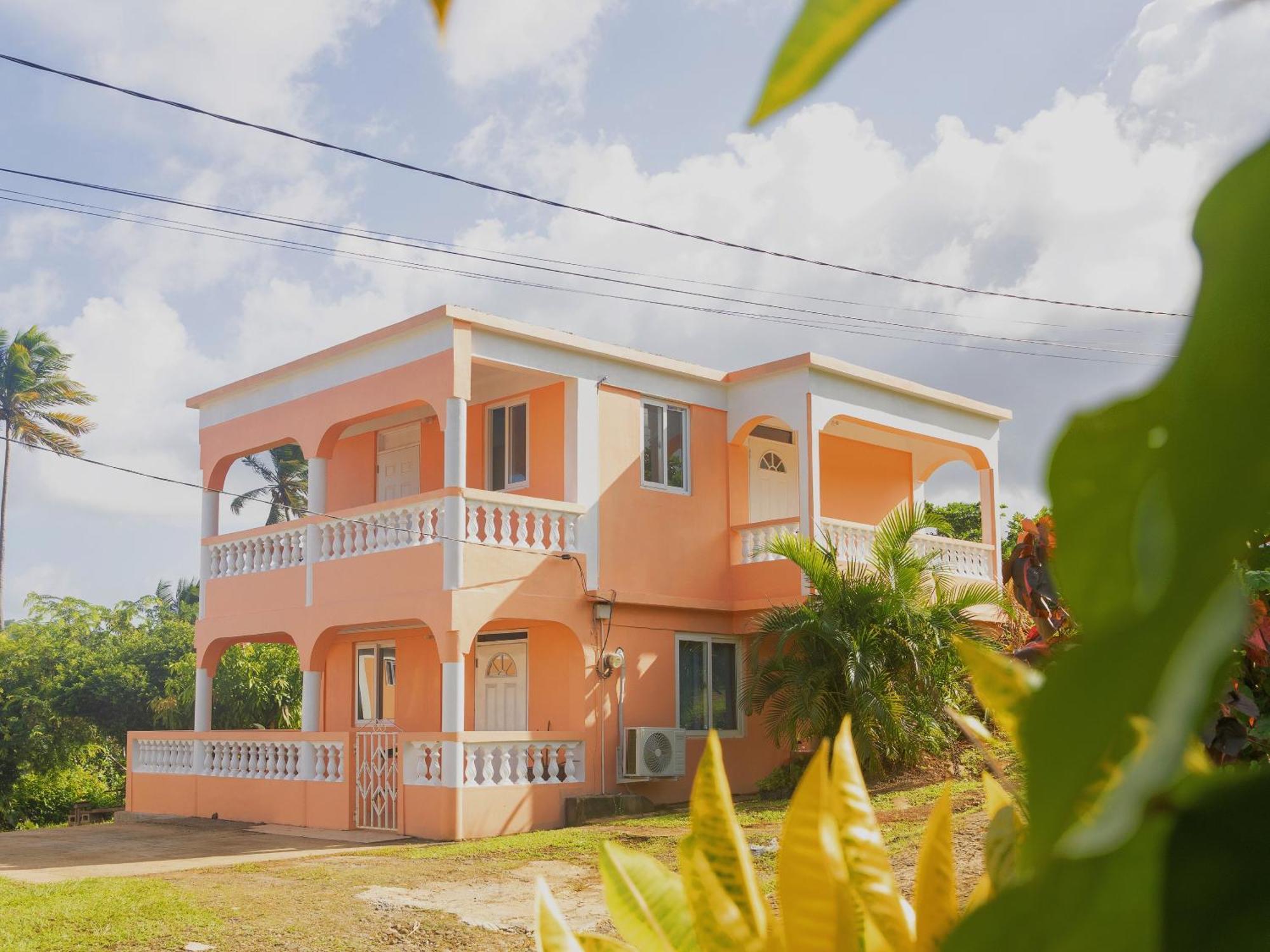 Hotel Happy Nest Dominica à Marigot Extérieur photo